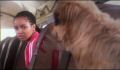 dr dolittle 3-avi_875.jpg